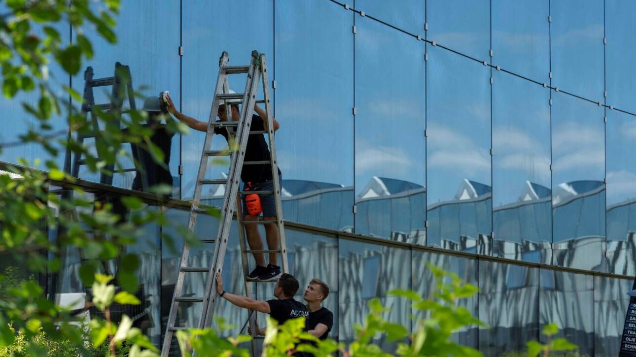 BirdShades Invisible Bird Protection Window Films