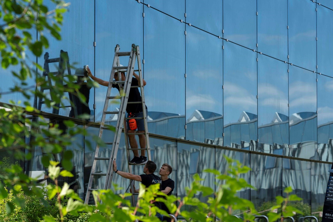 BirdShades Invisible Bird Protection Window Films